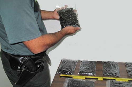 اعتقال مغربية قادمة من طنجة حاولت تهريب 233 كبسولة من الحشيش اعتقال مغربية قادمة من طنجة حاولت تهريب 233 كبسولة من الحشيش