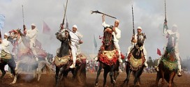 مهرجان جماعة سوق الطلبة يحتفي بتراث التبوريدة وسباق كلاب السلوقي