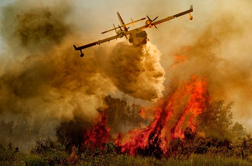 البرتغال.. 3213 حريقا في عشرة أيام دمرت نحو مائة ألف هكتار من الغابة
