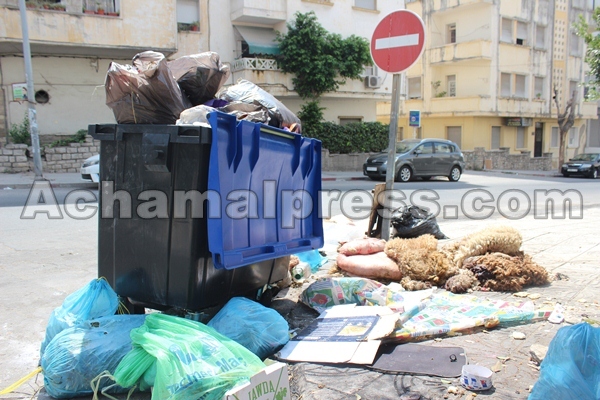 جمع أكثر من 1200 طن من النفايات المنزلية خلال فترة عيد الأضحى بتطوان