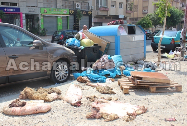 جمع أزيد 8600 طن من النفايات خلال فترة عيد الأضحى بطنجة