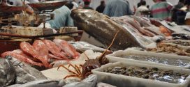 المغرب يعتمد رقمنة أسواق بيع السمك لتعزيز الشفافية وتتبع المنتوجات البحرية