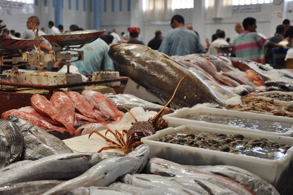 “الحوت بثمن معقول”.. مبادرة لتوفير 4000 طن في 40 مدينة مغربية خلال رمضان