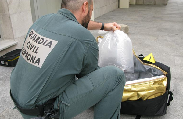 اسبانيا تحبط محاولة تهريب ثعابين بحرية مهددة بالانقراض إلى طنجة