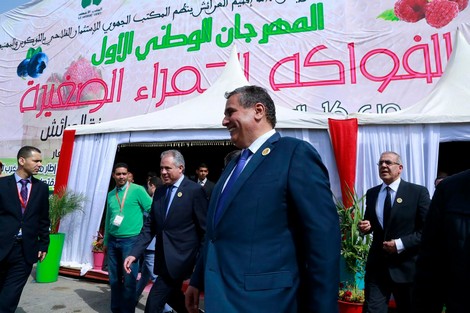 تأسيس الفيدرالية البيمهنية المغربية للفواكه الحمراء بالعرائش