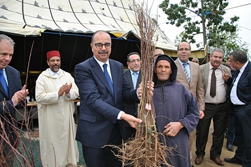 تدابير استباقية لمواجهة موجة البرد بالجماعات القروية بإقليم العرائش