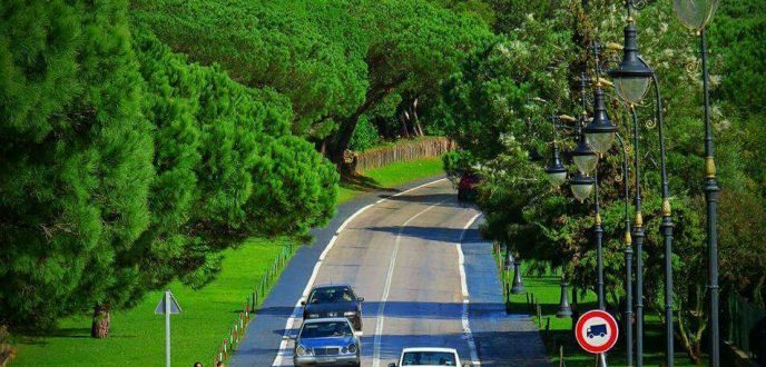 إطلاق برنامج تحسيسي للحفاظ على الغابات الحضرية بمدينة طنجة