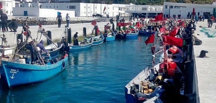 ميناء الصيد الجديد بطنجة.. تكريم لمهنيي قطاع الصيد البحري