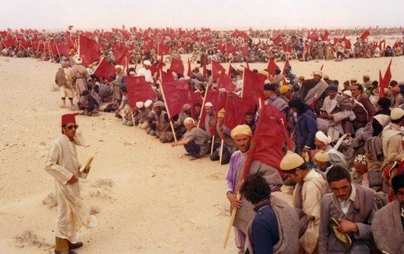 تكريم يطال “متطوعي المسيرة الخضراء” بوزان وشفشاون