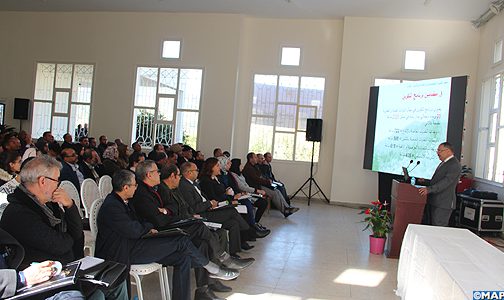 قطاع النباتات العطرية والطبية يزخر بمؤهلات كبيرة على مستوى جهة طنجة قطاع النباتات العطرية والطبية يزخر بمؤهلات كبيرة على مستوى جهة طنجة