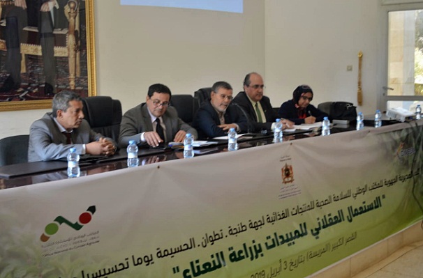 مطالبة منتجي النعناع بعدم استعمال المبيدات في زراعتهم