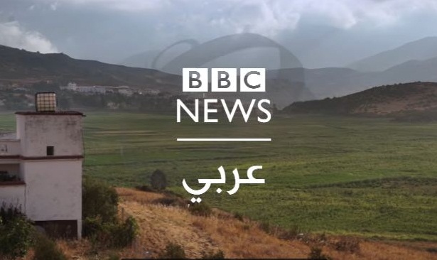 تحقيق مثير لـBBC يكشف بالأسماء أباطرة الحشيش بشمال المغرب