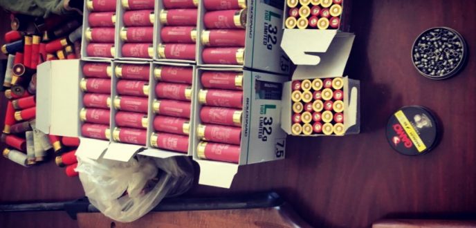 حجز 5 بنادق صيد يستنفر مختلف الأجهزة الأمنية بميناء طنجة المتوسط