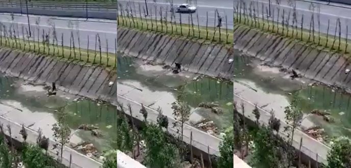 شرطة طنجة تخضع شريط “واد مغوغة” لبحث ميداني وخبرة تقنية شرطة طنجة تخضع شريط “واد مغوغة” لبحث ميداني وخبرة تقنية