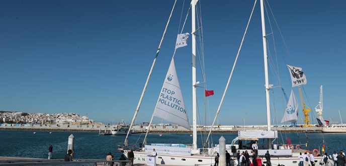 السفينة الشراعية “الباندا الزرقاء” تحط الرحال بطنجة
