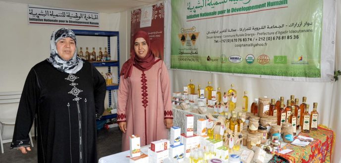 جهة طنجة تطوان الحسيمة تحتضن حوالي 2500 تعاونية في كافة المجالات
