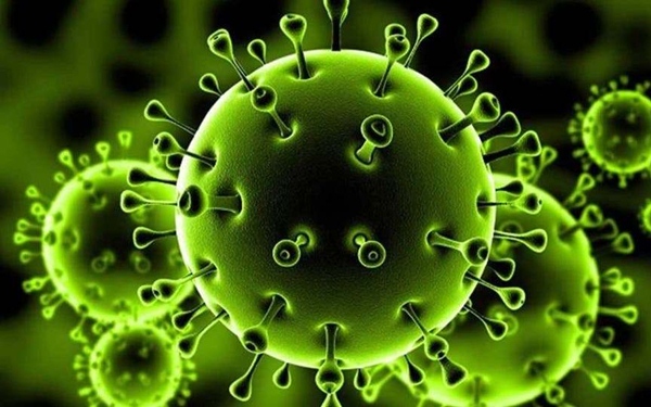 صحافيون ينددون بترويج أخبار كاذبة وصور مزيفة حول وباء كورونا
