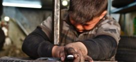مطالب للحكومة باتخاذ إجراءات حازمة للتصدي لظاهرة تشغيل الأطفال
