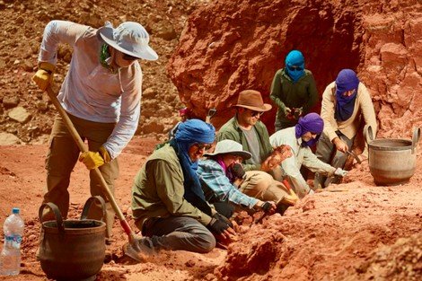 علماء يكتشفون أقدم نجم بحر أحفوري يعود إلى 480 مليون سنة في المغرب