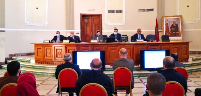 لقاء بطنجة يقرب المساهمة المهنية الموحدة من صغار التجار والحرفيين