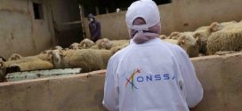 “أونسا” تدعو إلى احترام تدابير ما قبل وما بعد الذبح لضمان سلامة لحوم الأضاحي