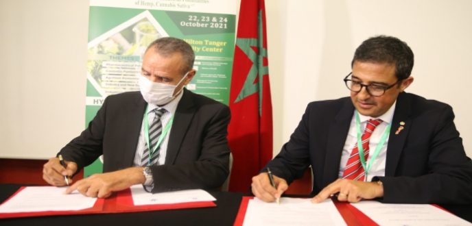 التوقيع بطنجة على أربع اتفاقيات شراكة لتعزيز البحث العلمي حول القنب الهندي
