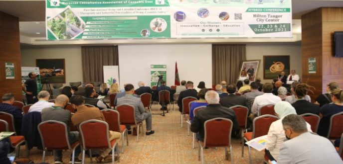 طنجة.. انعقاد أول مؤتمر دولي حول الاستعمالات العلاجية للقنب الهندي