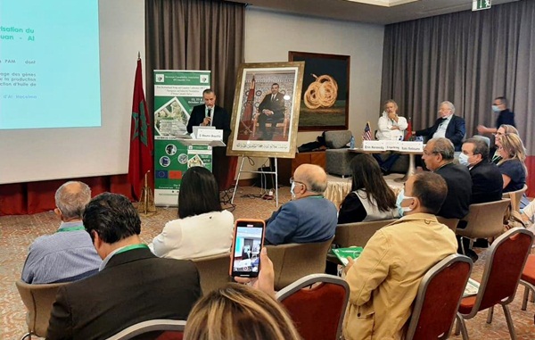 المؤتمر الدولي الأول للقنب الهندي يختتم أشغاله بطنجة
