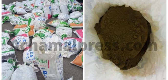 خبرة علمية تكشف محاولة تهريب طنين من الشيرا ممزوجة بالحناء بميناء طنجة المتوسط