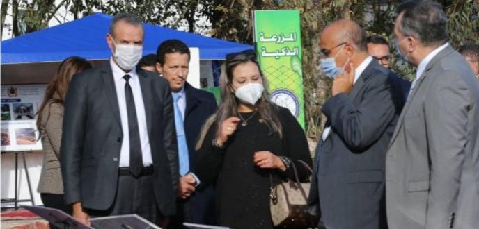 إطلاق مزرعة ذكية لتعزيز البحث العلمي في الفلاحة والصناعات الغذائية بالعرائش