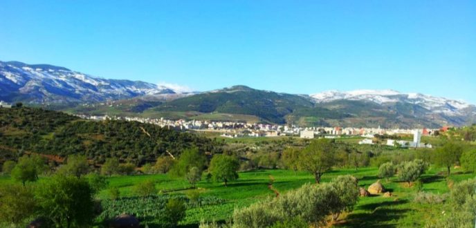 جهة طنجة تنجح في التدبير المستدام للموارد والمحافظة على النظم الإيكولوجية