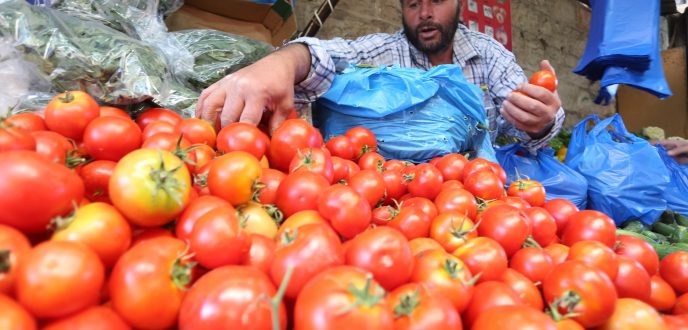 الحكومة تعد بخفض أسعار الطماطم في اليومين المقبلين