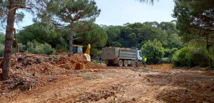 اجتثاث أشجار من غابة السلوقية بطنجة تثير غضب فعاليات مدنية