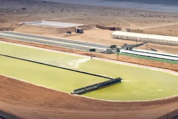 شركة بريطانية تخطط لإنشاء أكبر مزرعة طحالب في العالم بالصحراء المغربية