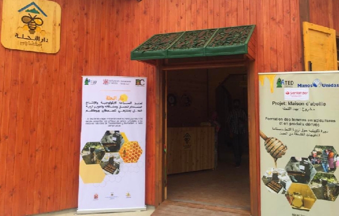 افتتاح “دار النحلة”.. المشروع الإيكولوجي الجديد بغابة عين الرامي بشفشاون