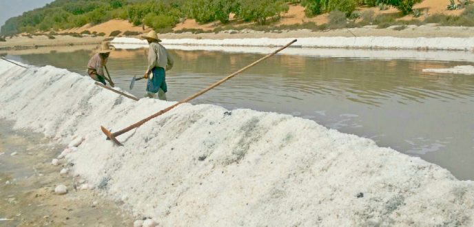 منتجو الملح بالمغرب يستعدون للزيادة في الأسعار