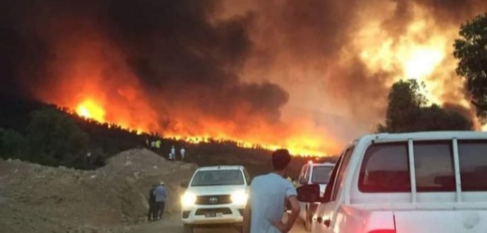 اندلاع حريق غابوي كبير بين العرائش وشفشاون يستنفر جهود الإطفائيين