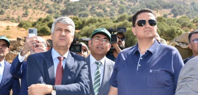 وزير الفلاحة يتفقد المناطق المتضررة من حرائق الغابات بإقليم العرائش