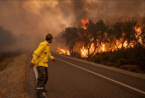 المياه والغابات تحذر من اندلاع حرائق محتملة بغابات جهة طنجة