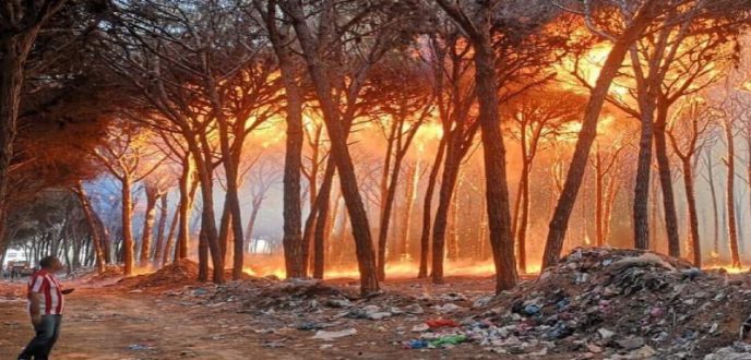 حرائق العرائش.. إجلاء 246 أسرة والنيران تلتهم أزيد من 800 هكتار من الغطاء النباتي
