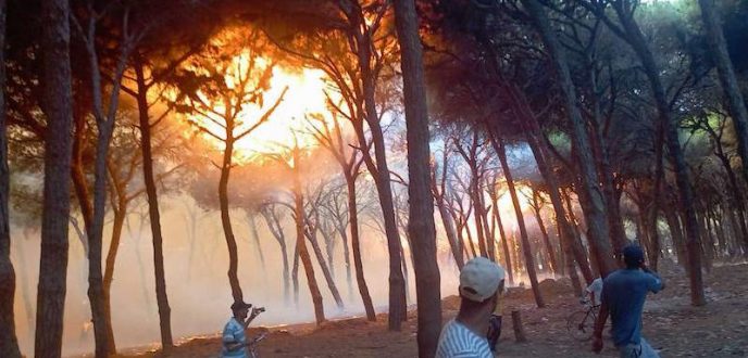 “أطاك المغرب” تنتقد تماطل السلطات في التعامل مع حرائق إقليم العرائش