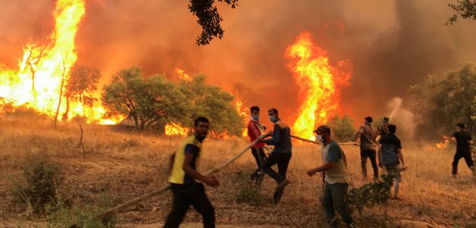 في ظل موجة حرارة استثنائية.. تواصل الجهود لإخماد حريق غابة “بوهاشم جبل العلم” بالعرائش