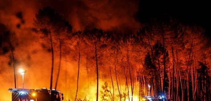 حرائق الغابات تودي بحياة 37 شخصا بعدد من ولايات الجزائر