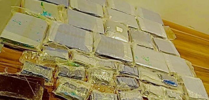 الكلاب البوليسية تكشف عن شحنة من المخدرات بميناء طنجة المتوسط