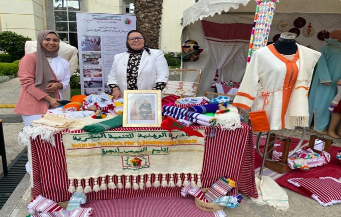 برمجة 256 مشروعا ما بين 2019 و2022 في إطار المبادرة الوطنية بالفحص أنجرة