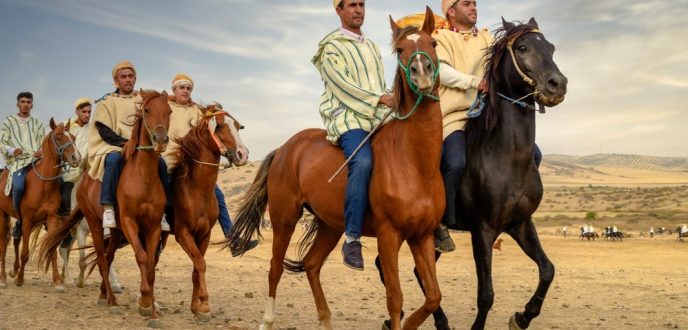 انطلاق فعاليات الدورة الحادية عشرة لمهرجان ماطا الدولي للفروسية بالعرائش