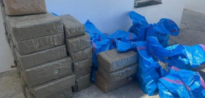 إيقاف اسباني حاول تهريب أزيد من طن من الحشيش عبر ميناء طنجة المتوسط