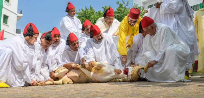 مسلمو مليلية المحتلة يقررون عدم نحر الأضاحي تماشيا مع توجيهات أمير المؤمنين