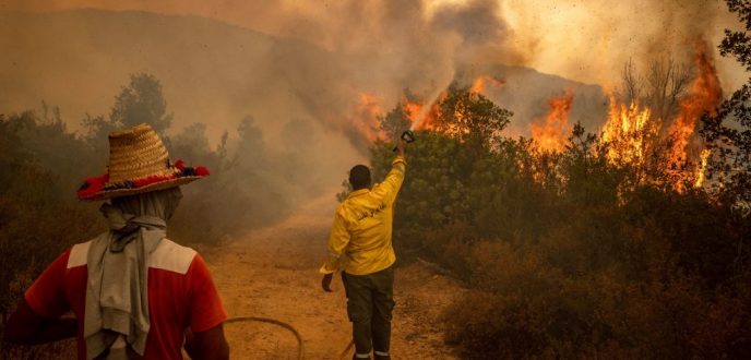 مند بداية 2023.. 222 حريقا يلتهم 3900 هكتار من غابات المغرب أغلبها في مدن الشمال