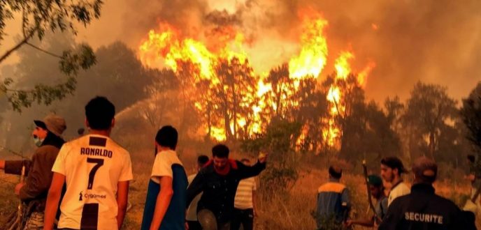 مصرع 15 شخصا وإصابة 26 آخرين جراء حرائق الغابات في الجزائر